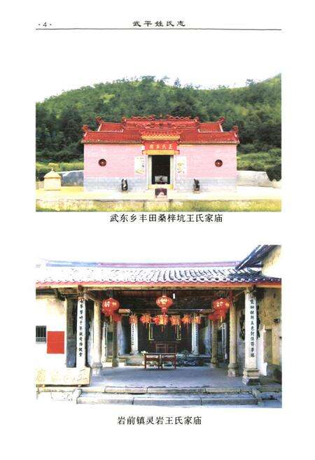 《《武平姓氏志》》.pdf电子版_福建省志预览图5