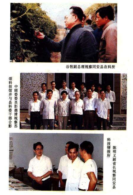 《《同安县科学技术志》》.pdf电子版_福建省志预览图2