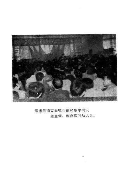 《《霞浦县卫生志》》.pdf电子版_福建省志预览图4