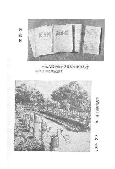 《《龙溪风物志》》.pdf电子版_福建省志预览图4