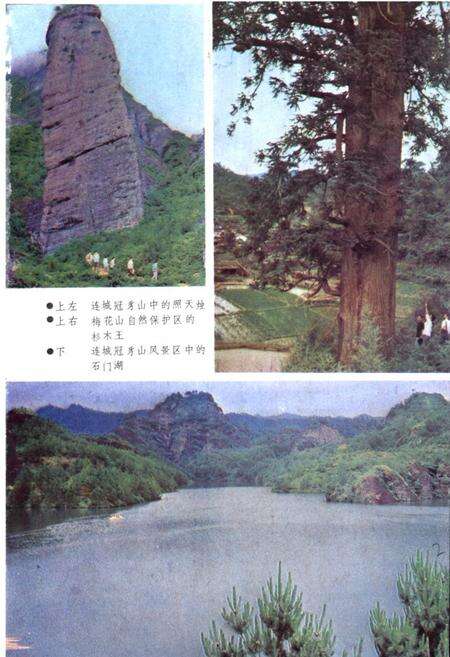 《《闽西风物志》》.pdf电子版_福建省志预览图2