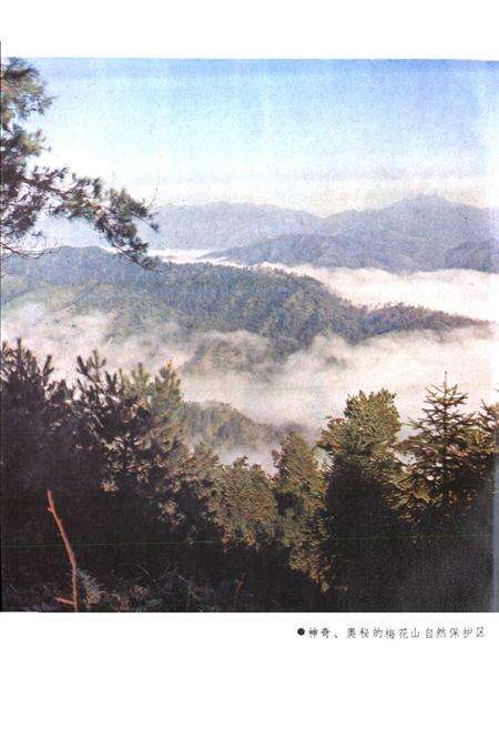 《《闽西风物志》》.pdf电子版_福建省志预览图3