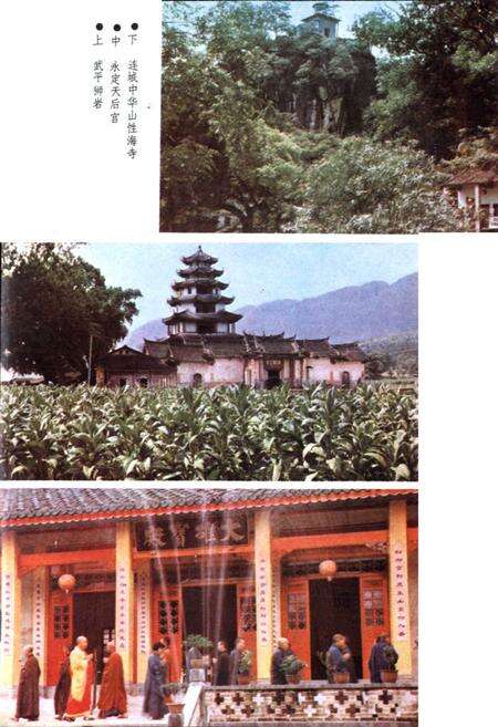 《《闽西风物志》》.pdf电子版_福建省志预览图4