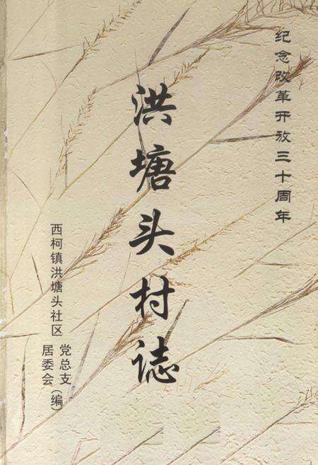 《洪塘头村志》.pdf电子版_福建省志预览图1