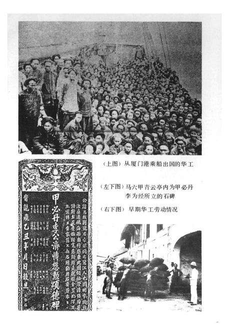 《同安华侨志》.pdf电子版_福建省志预览图5