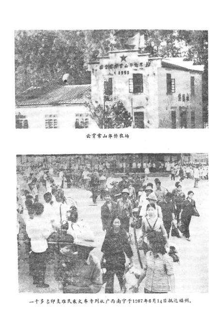 《《福建省华侨志(下篇)》》.pdf电子版_福建省志预览图5