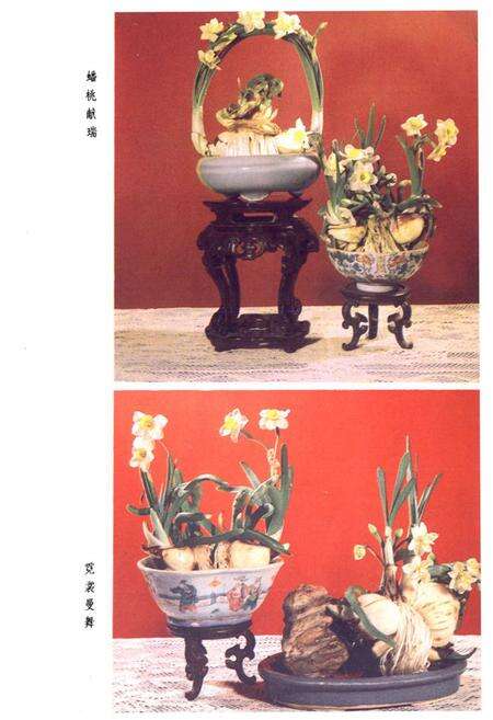 《水仙花志》.pdf电子版_福建省志预览图5