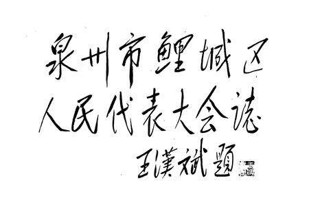 《泉州市鲤城区人民代表大会志》.pdf电子版_福建省志预览图2