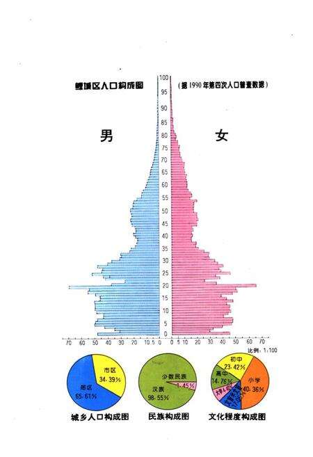 《泉州市鲤城区人口志》.pdf电子版_福建省志预览图4