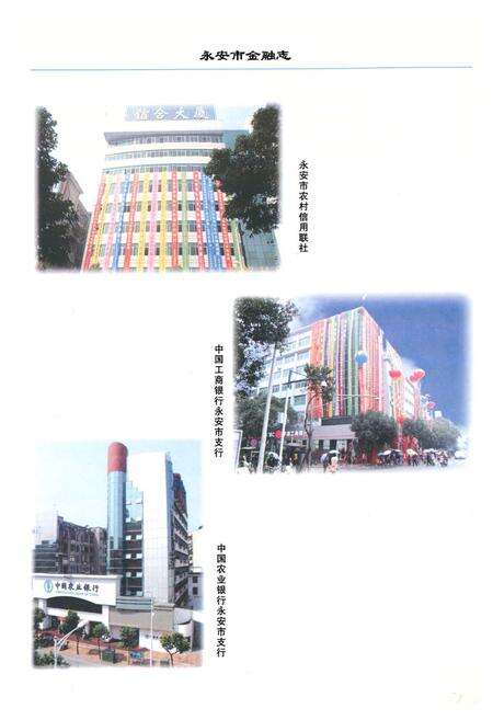 《《永安市金融志》(1990-2005)》.pdf电子版_福建省志预览图4