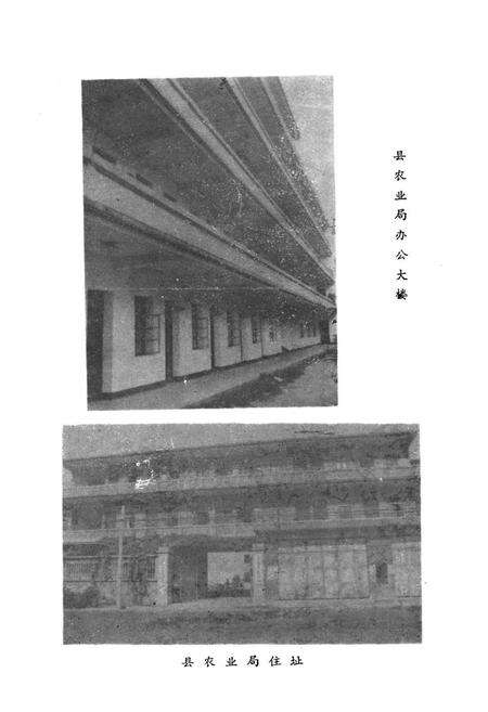 《《惠安县农业志》》.pdf电子版_福建省志预览图4