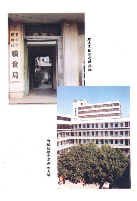 《《鲤城区粮食志》》.pdf电子版_福建省志预览图2