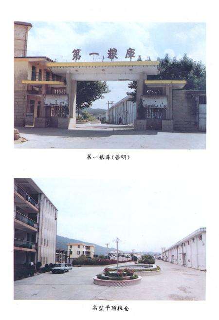 《《鲤城区粮食志》》.pdf电子版_福建省志预览图3