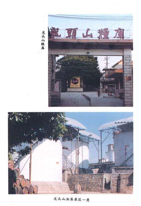 《《鲤城区粮食志》》.pdf电子版_福建省志预览图4