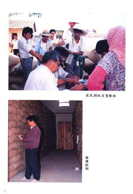 《《鲤城区粮食志》》.pdf电子版_福建省志预览图5