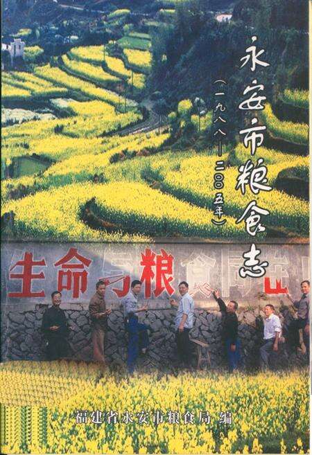 《《永安市粮食志(1988-2005)》》.pdf电子版_福建省志缩略图