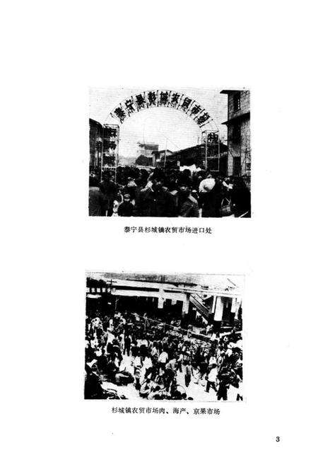 《泰宁县工商行政管理志》.pdf电子版_福建省志预览图5