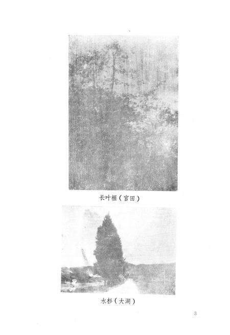 《泰宁县林业志》.pdf电子版_福建省志预览图5