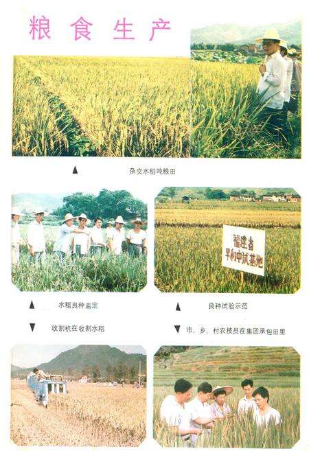 《龙岩市农业志》.pdf电子版_福建省志预览图5