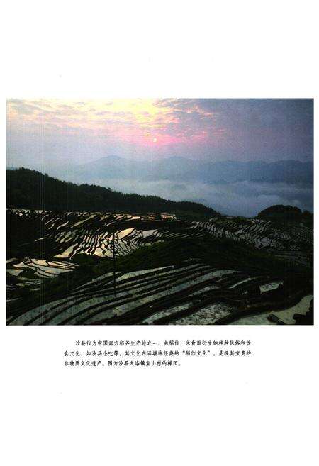 《《沙县非物质文化遗产图志》》.pdf电子版_福建省志预览图5