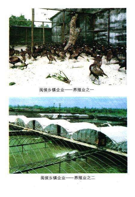 《《闽侯县乡镇企业志》》.pdf电子版_福建省志预览图5