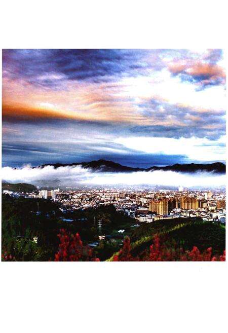 《浦城县志1989-2005》.pdf电子版_福建省志预览图3