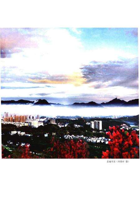 《浦城县志1989-2005》.pdf电子版_福建省志预览图4
