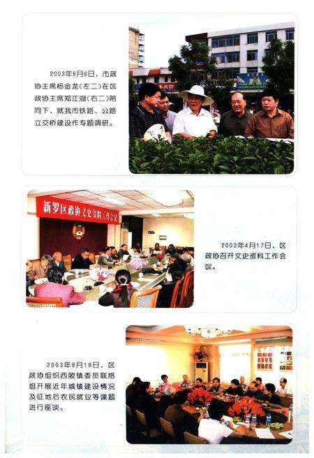 《龙岩文史资料(第三十二辑)》.pdf电子版_福建省志预览图2