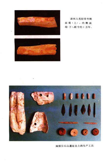 《福建古代经济史》.pdf电子版_福建省志预览图3