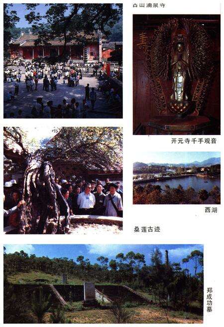 《福建风物志》.pdf电子版_福建省志预览图4