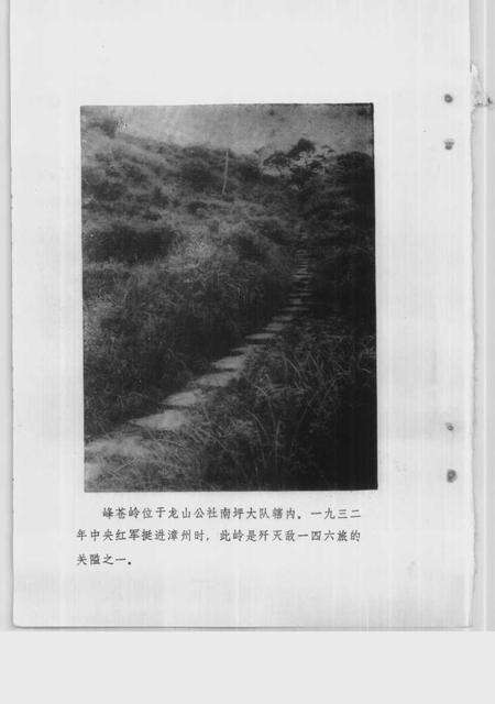 《南靖文史资料  第1辑》.pdf电子版_福建省志预览图5