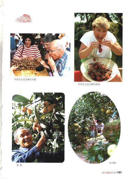 《中华人民共和国地方志  福建省莆田市  第2册》.pdf电子版_福建省志预览图1