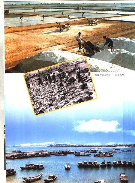 《中华人民共和国地方志  福建省莆田市  第2册》.pdf电子版_福建省志预览图2