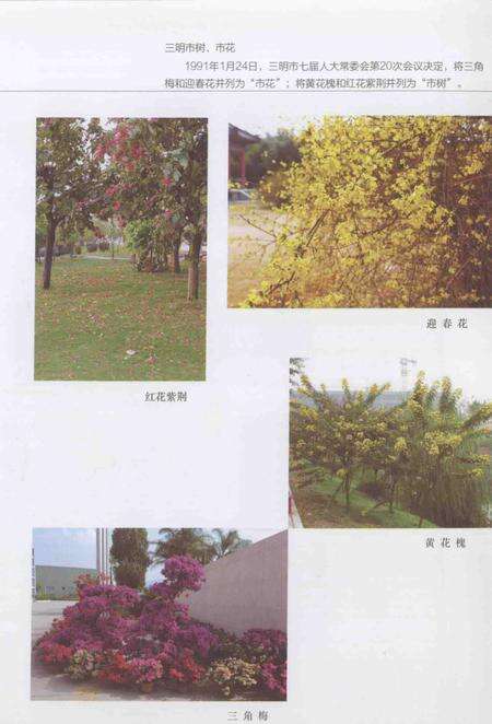 《三明市情概览》.pdf电子版_福建省志预览图3