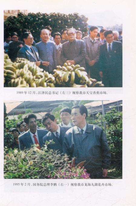 《漳州市工商志》.pdf电子版_福建省志预览图4