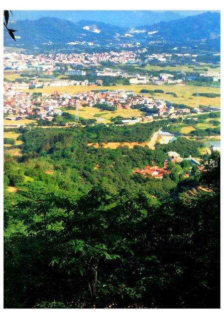 《琵琶巗志》.pdf电子版_福建省志预览图3