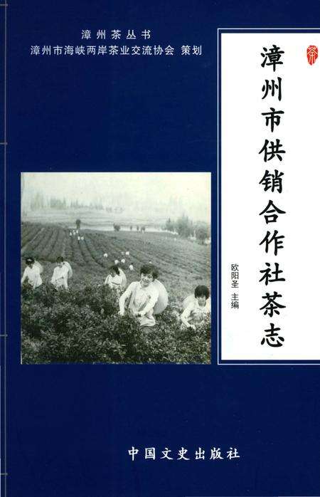 《漳州市供销合作社茶志》.pdf电子版_福建省志缩略图