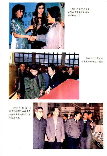 《甘肃省志 第三十五卷 轻纺工业志 二轻》.pdf电子版_甘肃省志预览图4