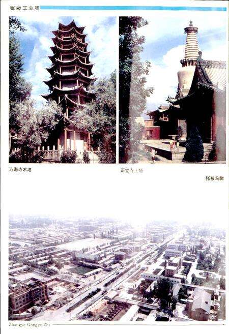 《张掖工业志》.pdf电子版_甘肃省志预览图4