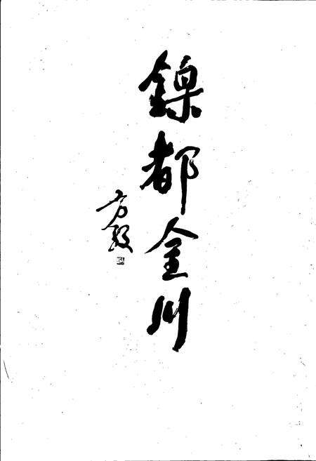 《金川有色金属公司志》.pdf电子版_甘肃省志预览图4