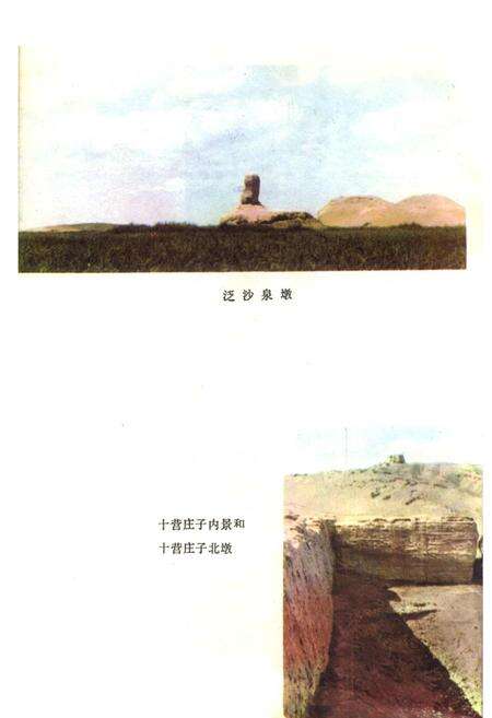 《嘉峪关市文物志》.pdf电子版_甘肃省志预览图3