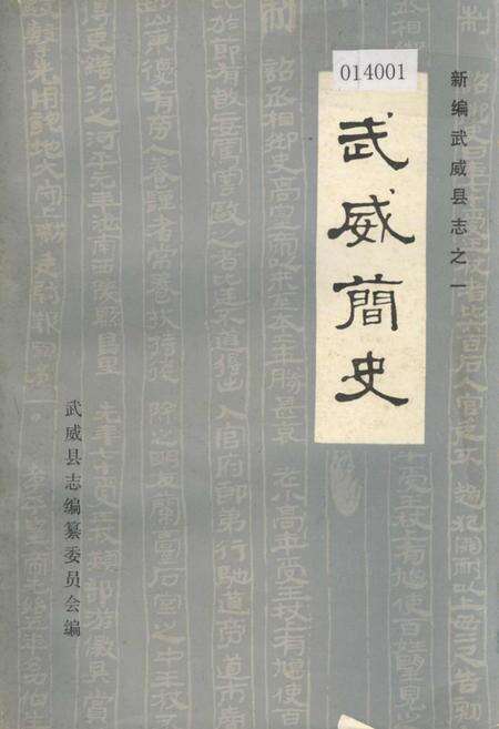 《武威简史》.pdf电子版_甘肃省志缩略图