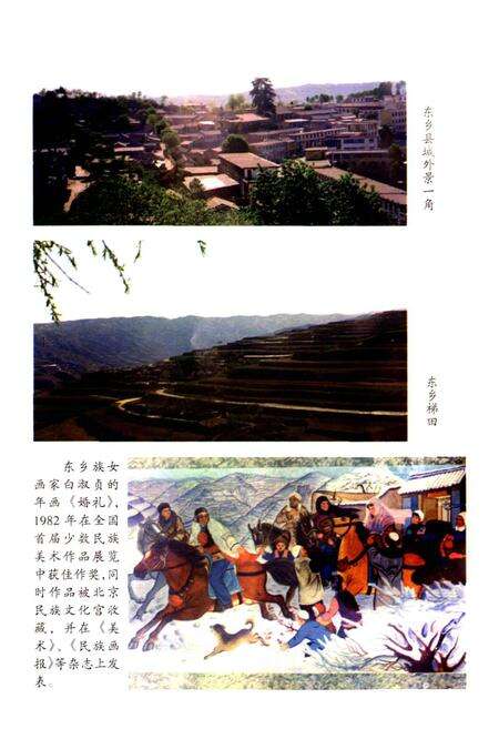 《中国东乡族志》.pdf电子版_甘肃省志预览图5