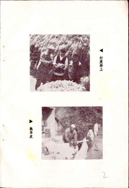 《东乡族风俗志》.pdf电子版_甘肃省志预览图5