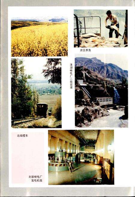 《临夏回族自治州志 下》.pdf电子版_甘肃省志预览图3