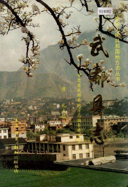 《武都县志》.pdf电子版_甘肃省志缩略图