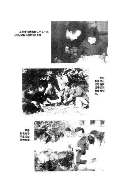 《崆峒山植物志》.pdf电子版_甘肃省志预览图3