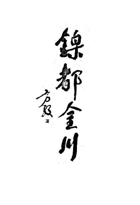 《金川公司电线电缆厂志》.pdf电子版_甘肃省志预览图2