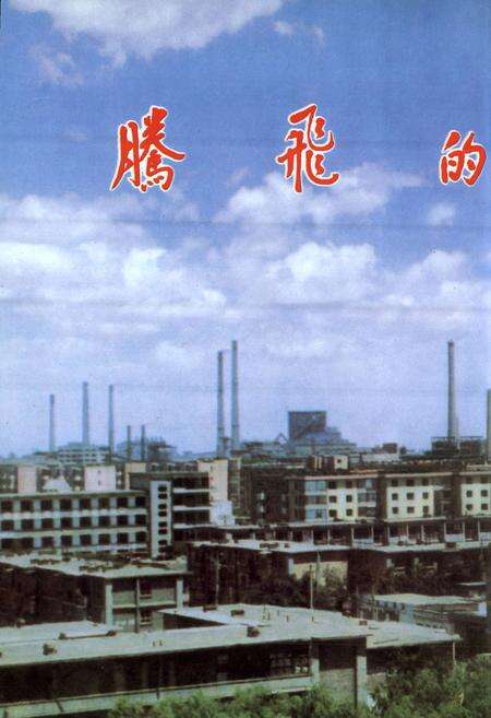 《金川公司电线电缆厂志》.pdf电子版_甘肃省志预览图5