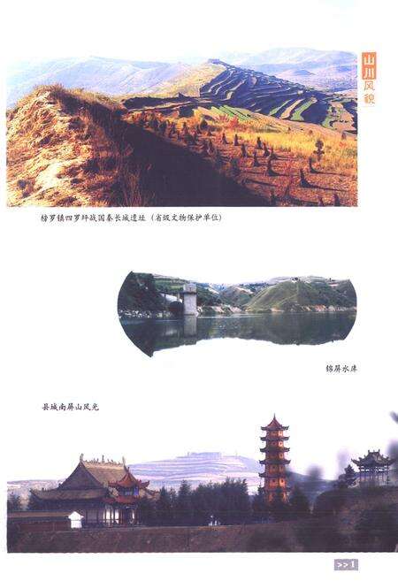 《《通渭县志》(1986-2005)》.pdf电子版_甘肃省志预览图5